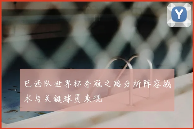 巴西队世界杯夺冠之路分析阵容战术与关键球员表现