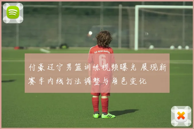 付豪辽宁男篮训练视频曝光 展现新赛季内线打法调整与角色变化