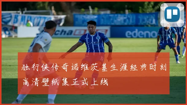 独行侠传奇诺维茨基生涯经典时刻高清壁纸集正式上线