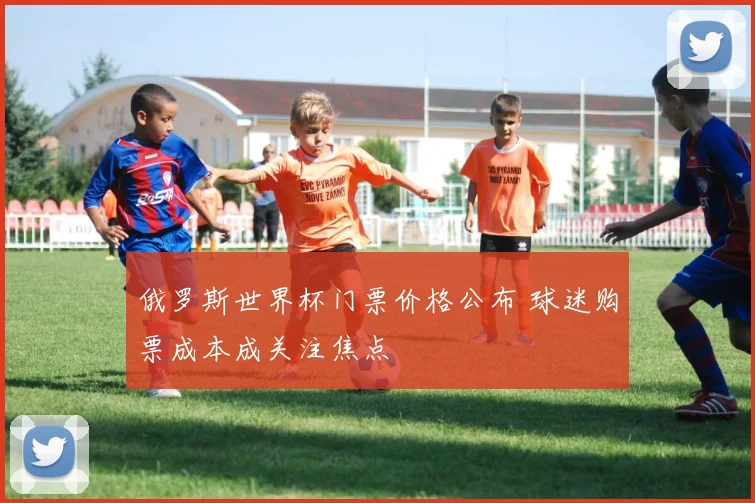 俄罗斯世界杯门票价格公布 球迷购票成本成关注焦点